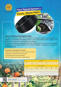 Home 13 کاتالوگ فوکا تجارت دامون انگلیسی صفحه 1