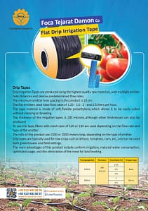 Home 16 کاتالوگ فوکا تجارت دامون انگلیسی صفحه 4