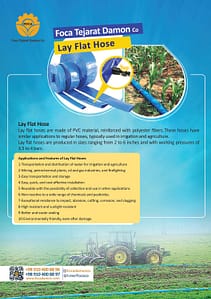 Home 18 کاتالوگ فوکا تجارت دامون انگلیسی صفحه 6