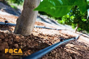 buying guide for 16 and 20 mm polyethylene pipe 2