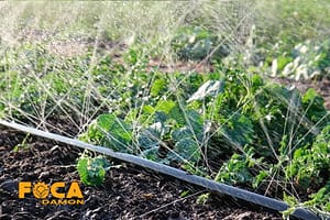 what is an agricultural rain pipe and buying guide 2