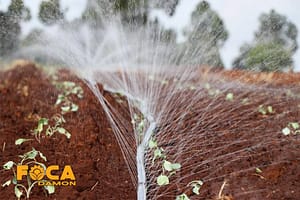 what is an agricultural rain pipe and buying guide 4