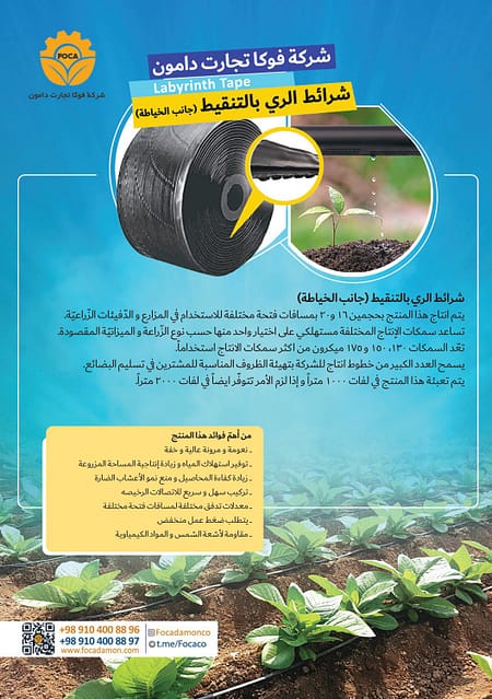 کاتالوگ فوکا 15 کاتالوگ فوکا تجارت دامون عربی صفحه 3