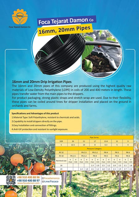 کاتالوگ فوکا 7 کاتالوگ فوکا تجارت دامون انگلیسی صفحه 1