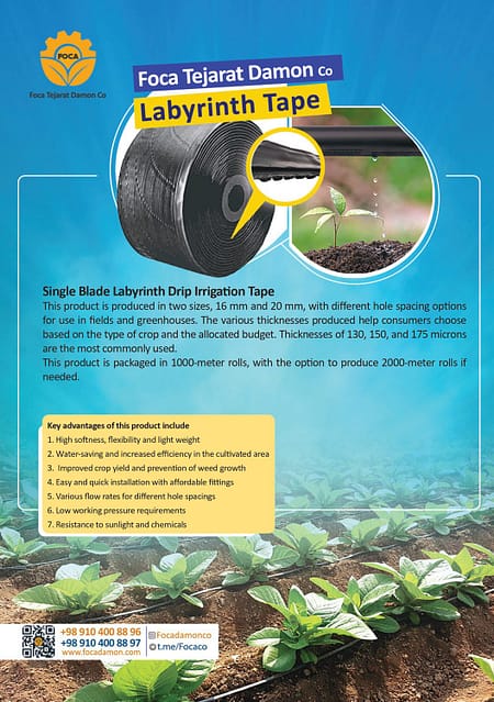 کاتالوگ فوکا 9 کاتالوگ فوکا تجارت دامون انگلیسی صفحه 3