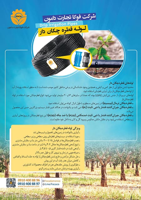 کاتالوگ فوکا 2 کاتالوگ فوکا تجارت دامون فارسی صفحه 2