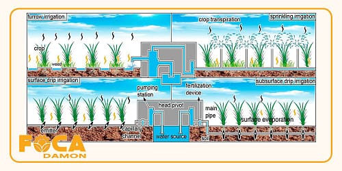 آبیاری زیر سطحی چیست و چگونه اجرا میشود؟ (مزایا و معایب) 5 subsurface drip irrigation 12