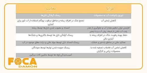 آبیاری زیر سطحی چیست و چگونه اجرا میشود؟ (مزایا و معایب) 3 subsurface drip irrigation 13