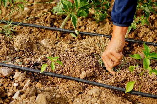 لوله پلیاتیلن نرم یا لوله لودن چیست؟ 1 تصویر لوله پلیاتیلن نرم یا لوله لودن 2