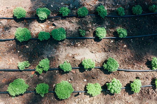 لوله پلیاتیلن نرم یا لوله لودن چیست؟ 2 تصویر لوله پلیاتیلن نرم یا لوله لودن 3