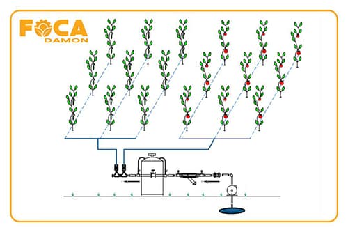 سیستم آبیاری گلخانهای و اجزای اصلی آن 2 تصویر سیستم آبیاری گلخانهای و اجزای اصلی آن 5