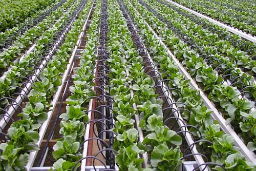 فوکا، تولیدکننده لوازم آبیاری قطره ای با بهترین قیمت و کیفیت 9 تصویر سیستم آبرسانی و اجزای اصلی آن