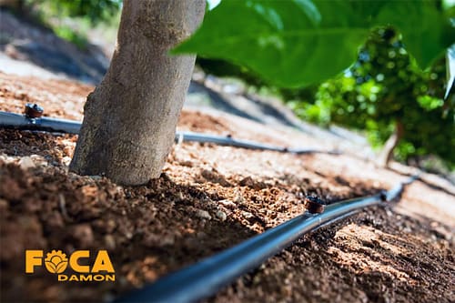 راهنمای خرید تجهیزات آبیاری قطره ای (5 نکته مهم قبل از خرید) 5 drip irrigation equipment buying guide 4