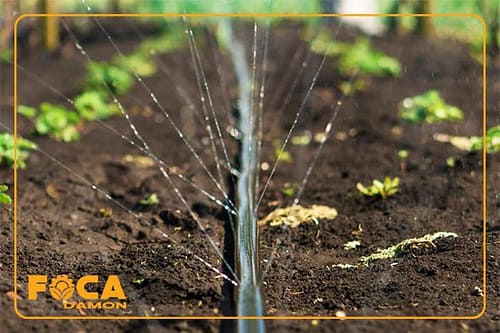 معرفی لوله بارانی یا لوله مه پاش کشاورزی و کاربردهایش 7 introduction to rain pipe and its uses 10