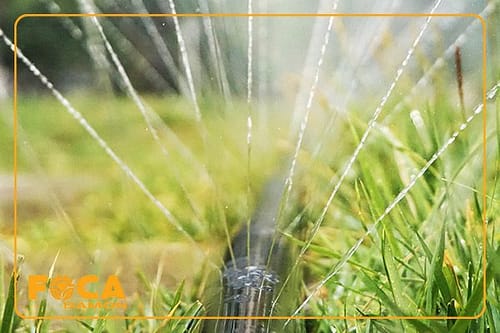 معرفی لوله بارانی یا لوله مه پاش کشاورزی و کاربردهایش 6 introduction to rain pipe and its uses 5