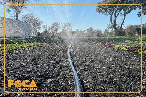 معرفی لوله بارانی یا لوله مه پاش کشاورزی و کاربردهایش 5 introduction to rain pipe and its uses 7