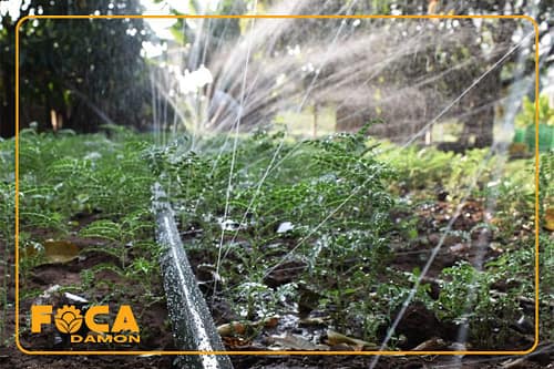 معرفی لوله بارانی یا لوله مه پاش کشاورزی و کاربردهایش 8 introduction to rain pipe and its uses 8