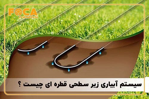 آبیاری زیر سطحی چیست و چگونه اجرا میشود؟ (مزایا و معایب) 1 subsurface drip irrigation 2