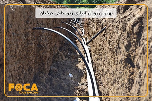 آبیاری زیر سطحی چیست و چگونه اجرا میشود؟ (مزایا و معایب) 6 subsurface drip irrigation 5