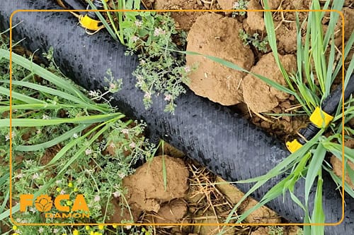 لوله نخدار کشاورزی یا لوله تاشو چیست؟ آشنایی با 2 نوع مختلف 7 تصویر لوله نخدار کشاورزی یا لوله تاشو در مزرعه