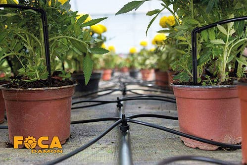 لوله پلی اتیلن کشاورزی 16 و 20 میلیمتر (راهنمای جامع خرید) 4 buying guide for 16 and 20 mm polyethylene pipe 7