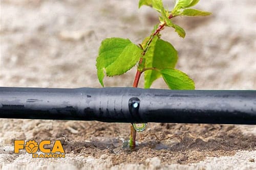 لوله دریپردار 16 و 20 یا لوله قطره چکان دار آبیاری چیست؟ 4 what is 16mm and 20mm irrigation dripper pipe 7
