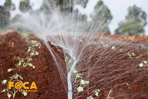 رین پایپ یا لوله بارانی کشاورزی چیست؟ (راهنمای جامع خرید) 7 what is an agricultural rain pipe and buying guide 4