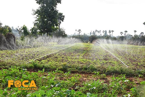 رین پایپ یا لوله بارانی کشاورزی چیست؟ (راهنمای جامع خرید) 2 what is an agricultural rain pipe and buying guide 6