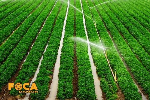 فاصله بین آبپاش ها در آبیاری بارانی - آموزش محاسبه با فرمول 3 distance between sprinklers in sprinkler irrigation 4
