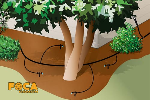آبیاری قطره ای درخت و تجهیزات آبیاری مورد نیاز (صفر تا صد) 4 drip irrigation of trees and the required equipment 2