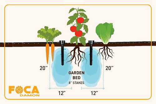 آبیاری زیر سطحی چیست و چگونه اجرا میشود؟ (مزایا و معایب) 8 subsurface drip irrigation 10