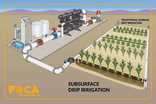 آبیاری زیر سطحی چیست و چگونه اجرا میشود؟ (مزایا و معایب) 2 subsurface drip irrigation 7